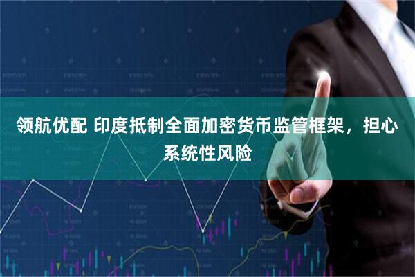 领航优配 印度抵制全面加密货币监管框架，担心系统性风险