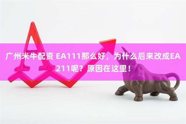 广州米牛配资 EA111那么好，为什么后来改成EA211呢？原因在这里！