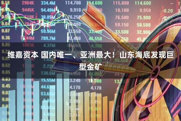 维嘉资本 国内唯一、亚洲最大！山东海底发现巨型金矿